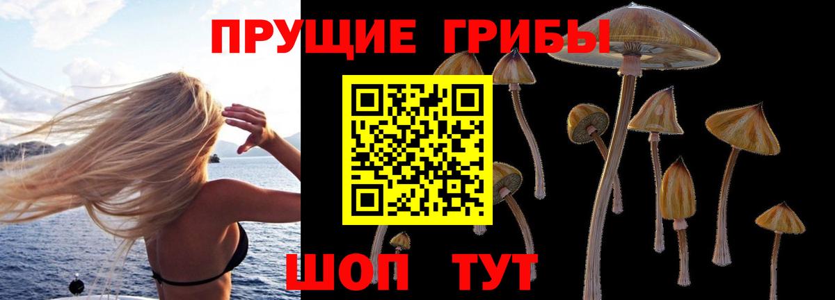 Псилоцибиновые грибы Cubensis  Псилоцибиновые грибы мухоморы  Вход с VPN  Нововоронеж 