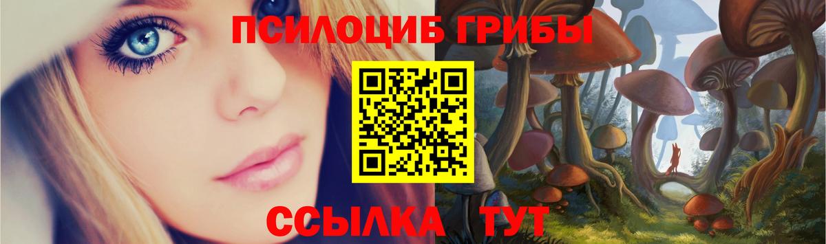 Псилоцибиновые грибы Cubensis Нововоронеж
