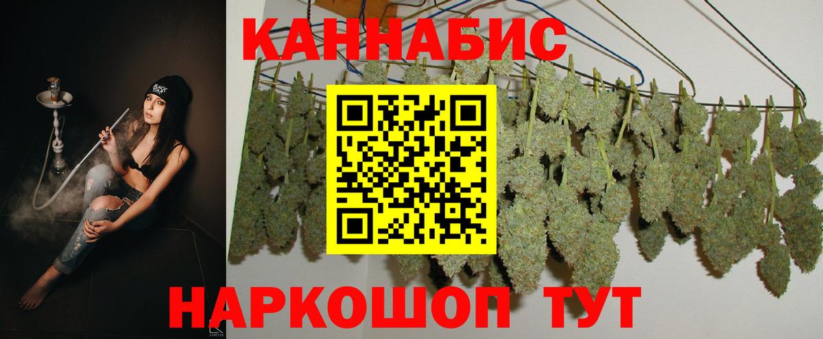 Бошки Шишки SATIVA & INDICA  Вход с VPN  Бошки Шишки сатива  Нововоронеж  Марихуана индика  Бошки Шишки сатива 